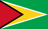 Guyana flag