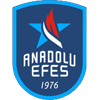 Anadolu Efes logo