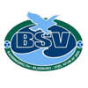 Bjerringbro-Silkeborg logo