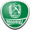 SC DHFK Leipzig logo