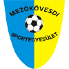 Mezokovesd Zsory logo