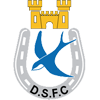 Dungannon Swifts logo