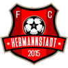 AFC Hermannstadt logo