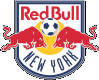 New York logo