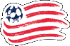 New England logo