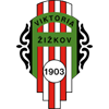 Viktoria Zizkov logo