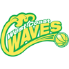 Perth Lynx Women logo