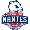 Nantes logo