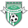 KF Dukagjini logo