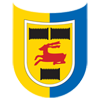 Cambuur Leeuwarden logo