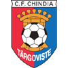 Chindia Targoviste logo