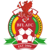 Briton Ferry logo