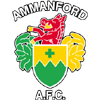 Ammanford AFC logo
