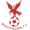 Whitehawk logo