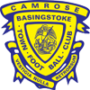 Basingstoke logo
