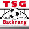 TSG Backnang logo