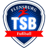TSB Flensburg logo