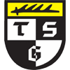 TSG Balingen logo
