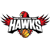 Illawarra Hawks logo