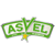 Asvel Lyon-Villeurbanne logo