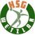 HSG Wetzlar logo