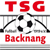 TSG Backnang logo