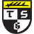 TSG Balingen logo